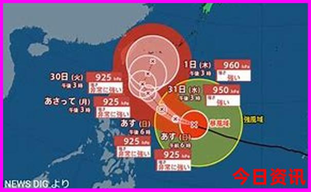 新澳门天天精准正版免费大全