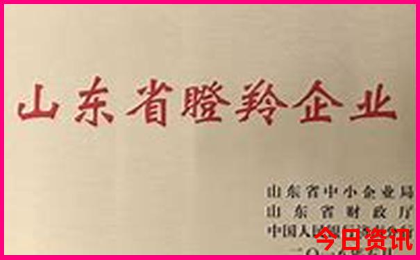 好玩的地方景点推荐