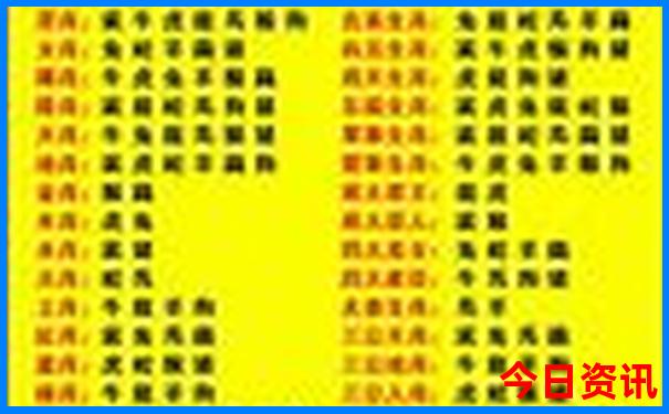 蒙城适合孩子玩的地方
