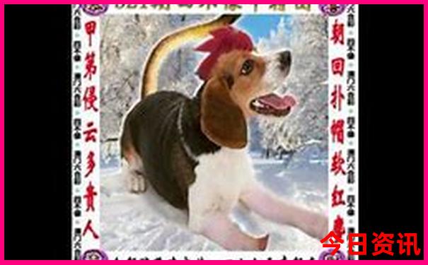 七月份去哪里玩不热